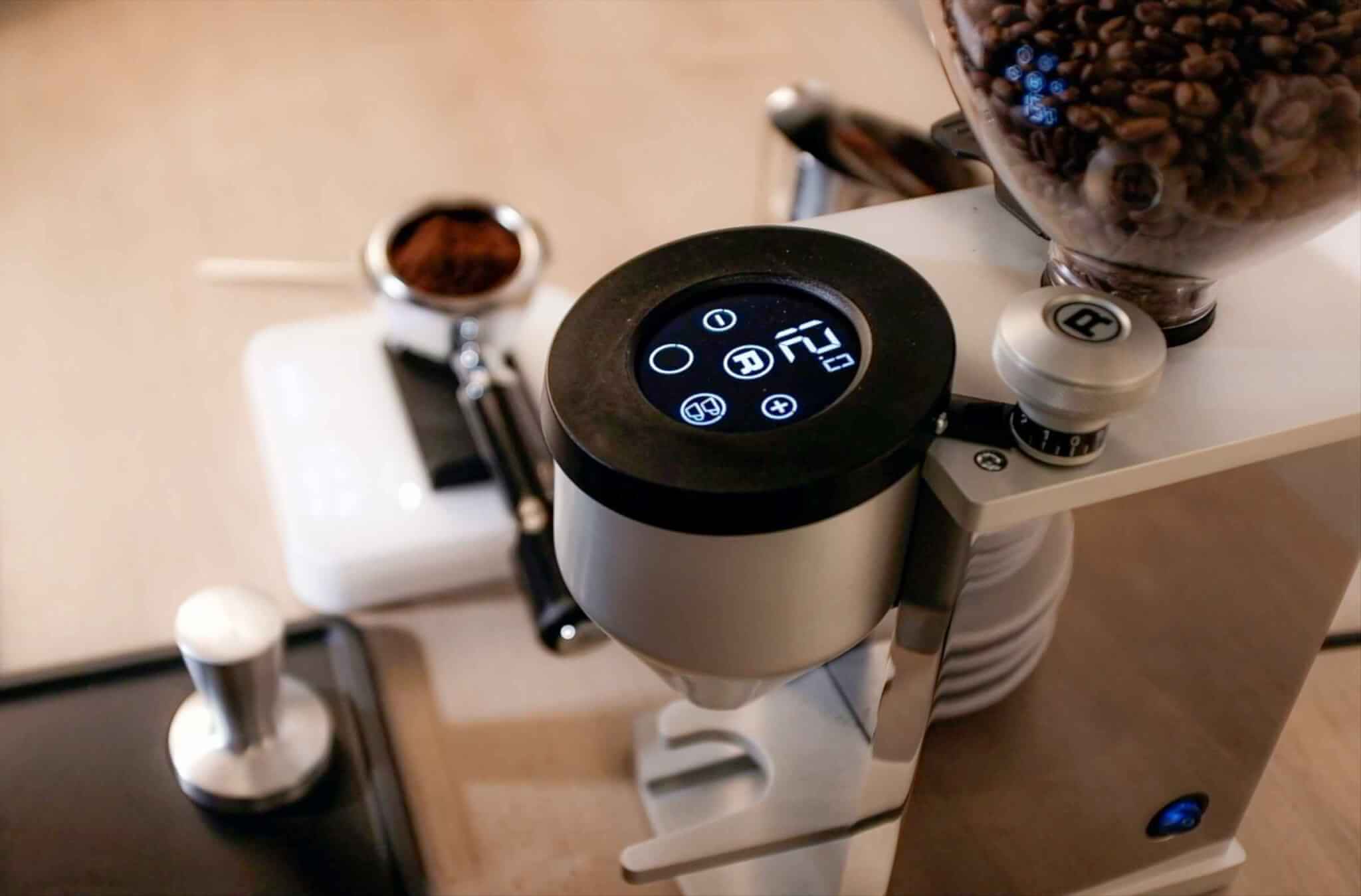 8 Best Coffee Grinder Under $100 that will help you brew