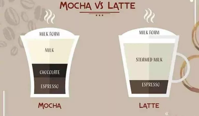 Latte vs Mocha, 5 Major Difference Between Latte And Mocha