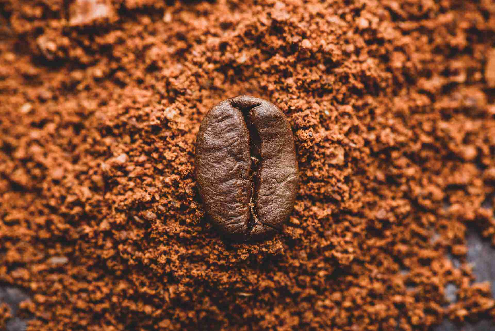 Benefits and Drawbacks of Food Processors for Grinding Coffee