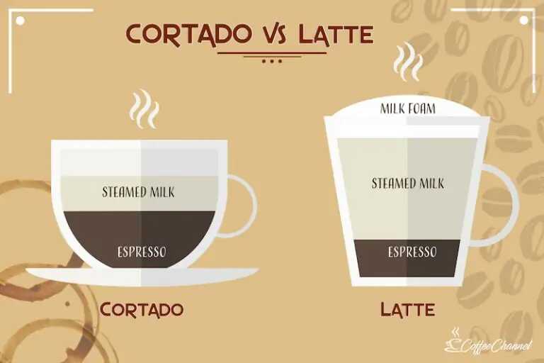 Cortado vs Latte: What is the difference and Which is the best?