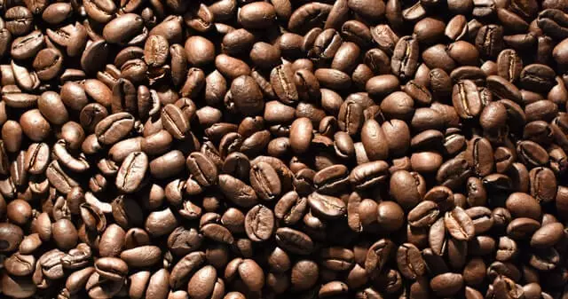 Growing coffee beans at home 